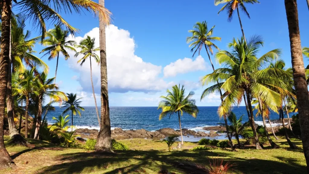 O que Fazer em Ilhéus e Itacaré