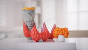 quem tem hipotireoidismo pode tomar creatina analise e recomendacoes