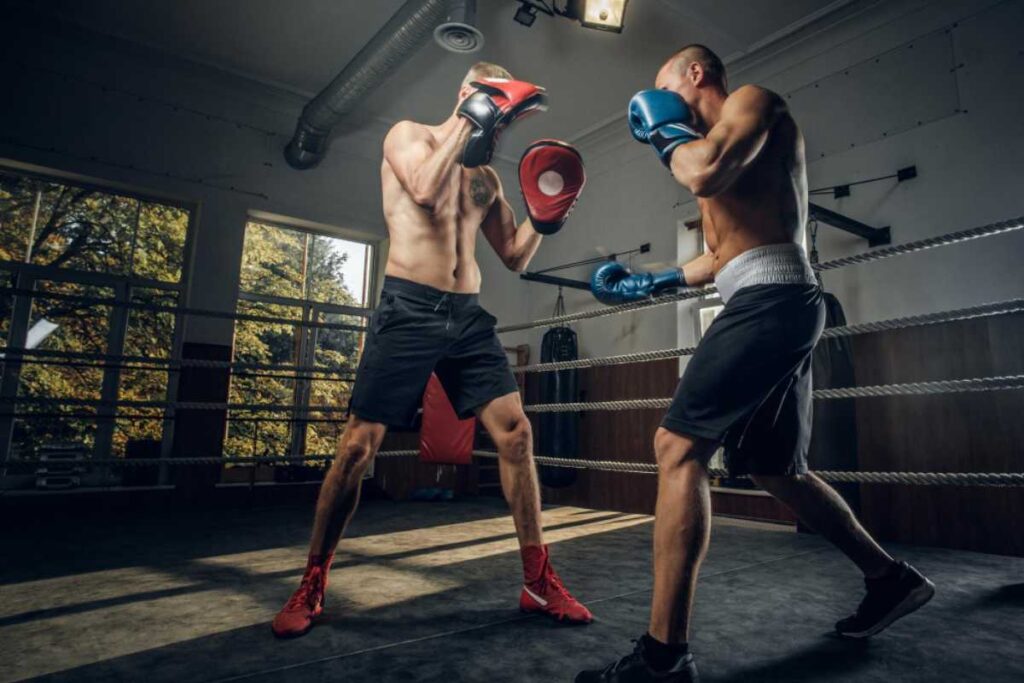 O que você precisa saber para apostar em artes marciais
