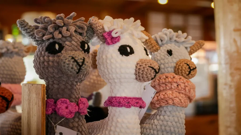 Lojas de Lãs e Linhas: Guia Completo 2 Imagem - pexels