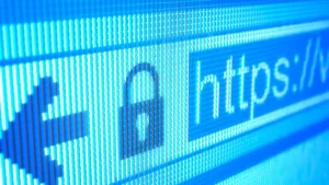 Site profissional ou sistema web