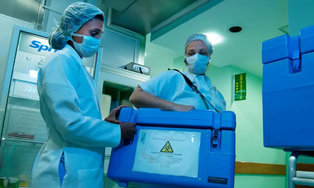 Brasil bate recorde histórico com 31 mil transplantes em 2025