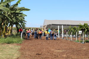 Emater-DF leva fruticultura diversificada à AgroBrasília 2026