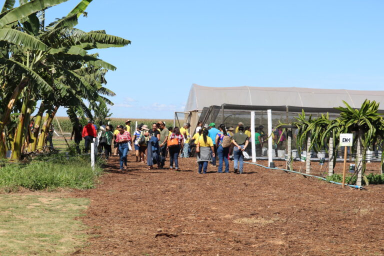 Emater-DF leva fruticultura diversificada à AgroBrasília 2026