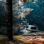 forwarder